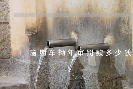 逾期车辆年审罚款多少钱 逾期车辆年审罚款多少钱