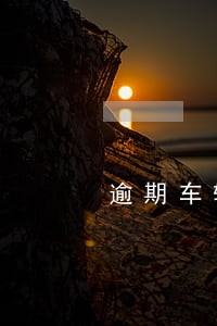 逾期车辆年检申请书