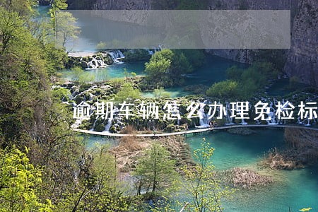 逾期车辆怎么办理免检标 逾期车辆怎么办理免检标
