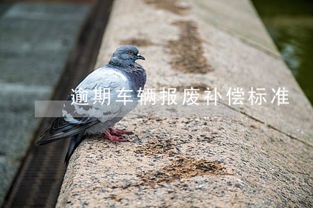 逾期车辆报废补偿标准 逾期车辆报废补偿标准