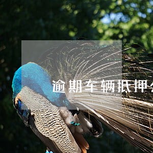 逾期车辆抵押公司开走 逾期车辆抵押公司开走