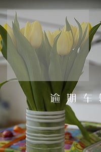 逾期车辆收车通知单 逾期车辆收车通知单