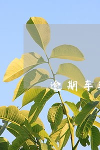 逾期车辆能买保险吗 逾期车辆能买保险吗