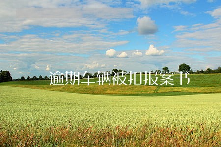 逾期车辆被扣报案书 逾期车辆被扣报案书