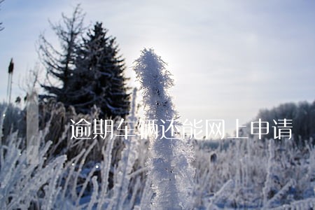 逾期车辆还能网上申请 逾期车辆还能网上申请