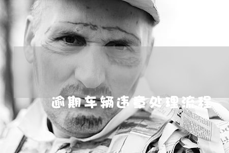 逾期车辆违章处理流程 逾期车辆违章处理流程