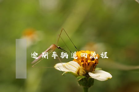 逾期车辆追回流程 逾期车辆追回流程