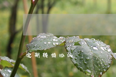 逾期转借协议 逾期转借协议
