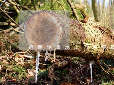 逾期转当地上门调查取证合法吗 逾期转当地上门调查取证合法吗