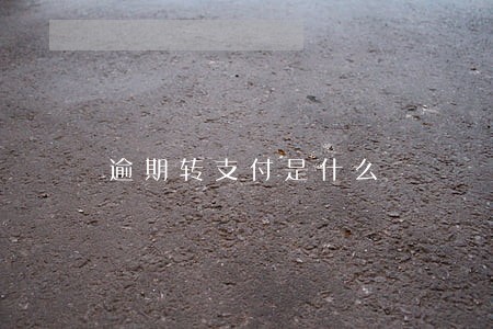 逾期转支付是什么 逾期转支付是什么