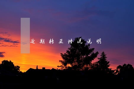 逾期转正情况说明 逾期转正情况说明