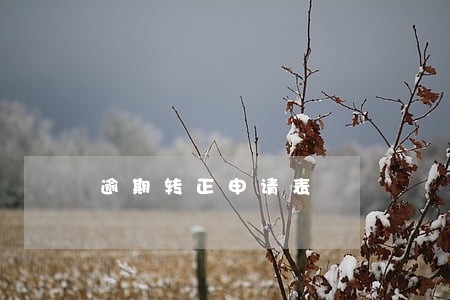 逾期转正申请表 逾期转正申请表