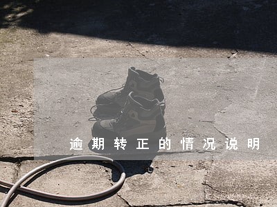 逾期转正的情况说明 逾期转正的情况说明
