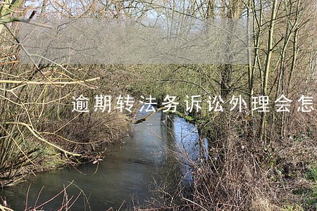 逾期转法务诉讼外理会怎么样 逾期转法务诉讼外理会怎么样