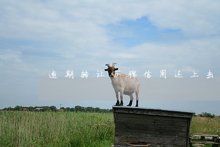 逾期转让万锦信用还上去可以吗 逾期转让万锦信用还上去可以吗