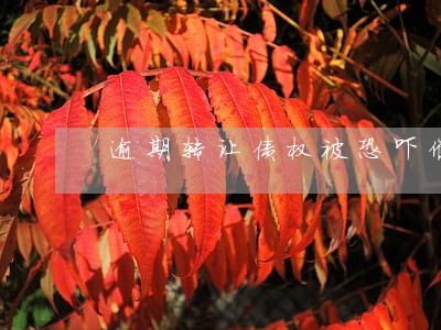 逾期转让债权被恐吓催收 逾期转让债权被恐吓催收