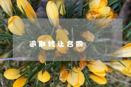 逾期转让合同 逾期转让合同