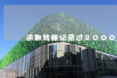 逾期转账记录过2000怎么办 逾期转账记录过2000怎么办