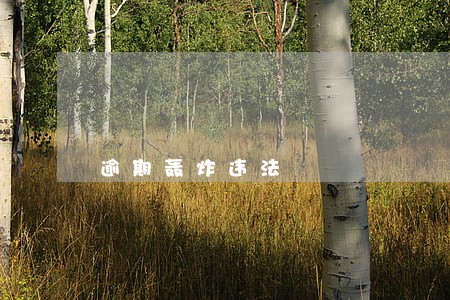 逾期轰炸违法 逾期轰炸违法