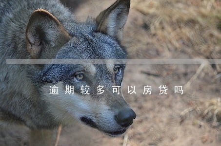 逾期较多可以房贷吗 逾期较多可以房贷吗