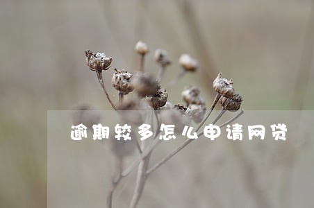 逾期较多怎么申请网贷 逾期较多怎么申请网贷