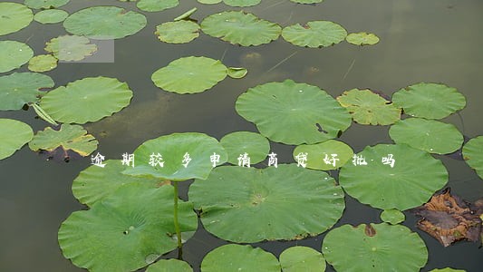 逾期较多申请商贷好批吗 逾期较多申请商贷好批吗
