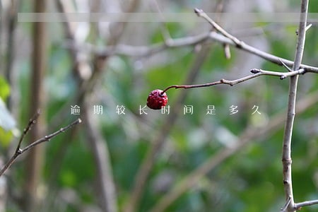 逾期较长时间是多久 逾期较长时间是多久