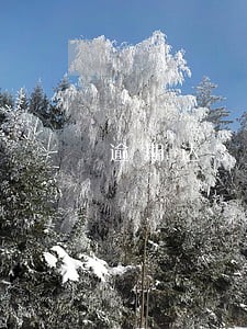 逾期达30加记录是什么意思 逾期达30加记录是什么意思