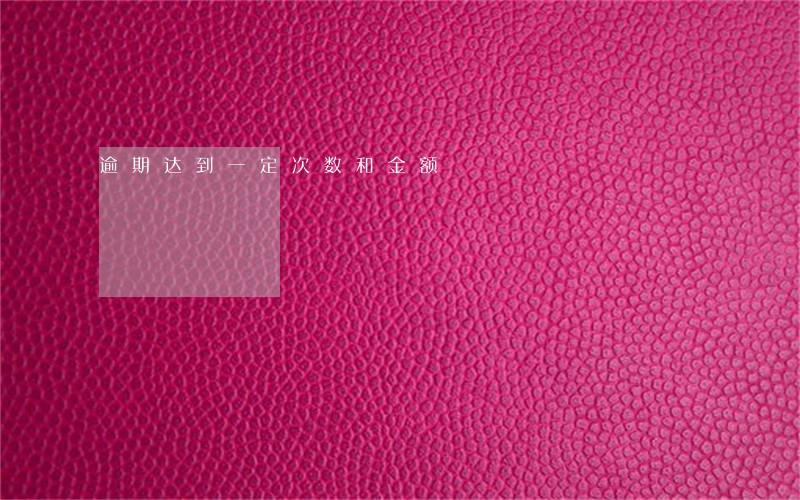 逾期达到一定次数和金额 逾期达到一定次数和金额