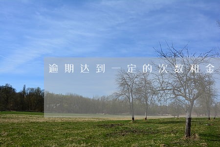 逾期达到一定的次数和金额 逾期达到一定的次数和金额