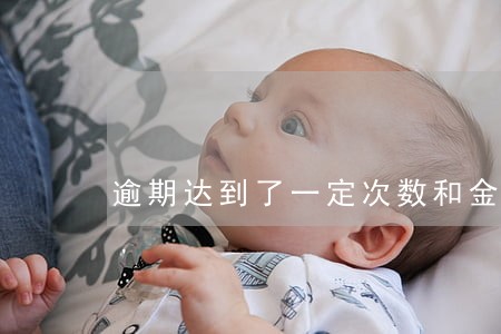 逾期达到了一定次数和金额 逾期达到了一定次数和金额