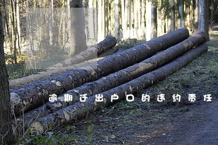 逾期迁出户口的违约责任 逾期迁出户口的违约责任