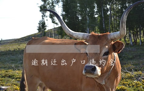 逾期迁出户口违约金 逾期迁出户口违约金