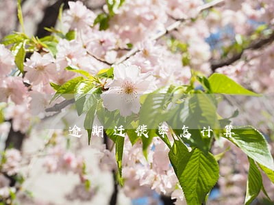 逾期迁徙率怎计算 逾期迁徙率怎计算