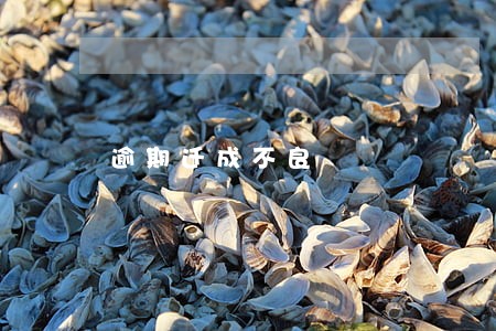 逾期迁成不良