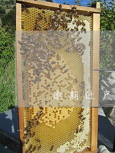 逾期迁户口违约金上限 逾期迁户口违约金上限