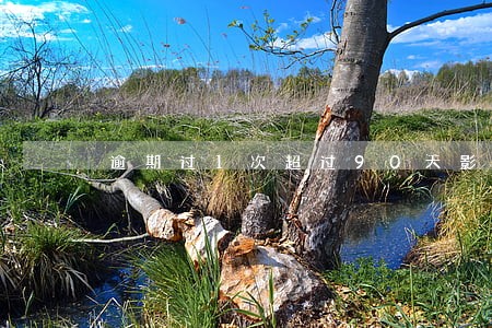 逾期过1次超过90天影响贷款吗 逾期过1次超过90天影响贷款吗