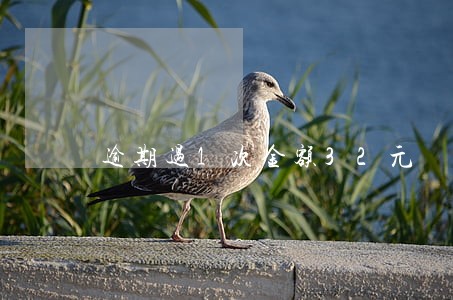 逾期过1次金额32元 逾期过1次金额32元