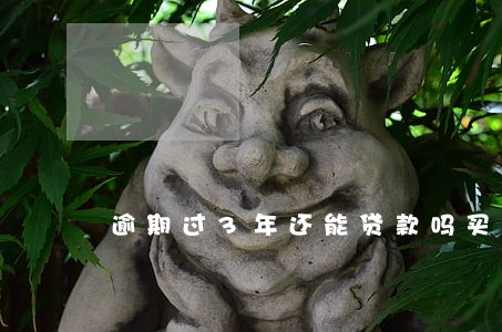 逾期过3年还能贷款吗买房吗