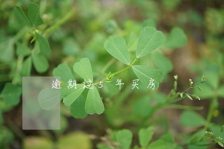 逾期过5年买房 逾期过5年买房
