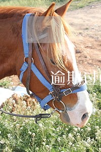 逾期过6次还能贷款吗 逾期过6次还能贷款吗