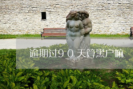 逾期过90天算黑户嘛