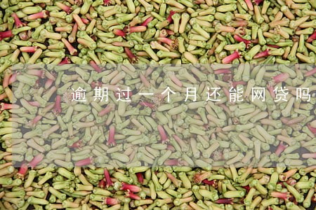 逾期过一个月还能网贷吗款吗 逾期过一个月还能网贷吗款吗