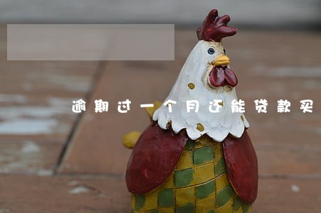 逾期过一个月还能贷款买车吗 逾期过一个月还能贷款买车吗