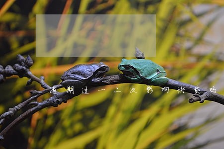 逾期过一二次影响快贷吗 逾期过一二次影响快贷吗