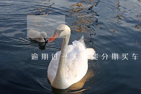 逾期过一天还能分期买车吗 逾期过一天还能分期买车吗