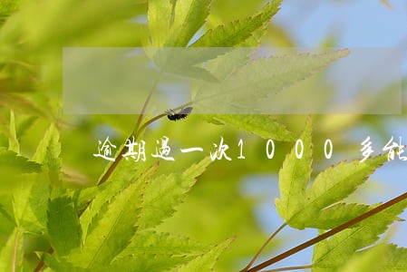 逾期过一次1000多能消除吗 逾期过一次1000多能消除吗