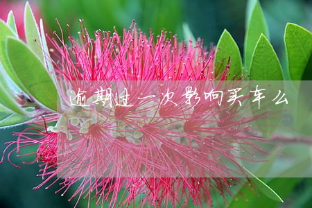 逾期过一次影响买车么 逾期过一次影响买车么