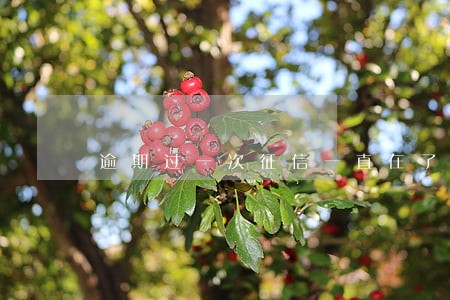 逾期过一次征信一直在了吗 逾期过一次征信一直在了吗