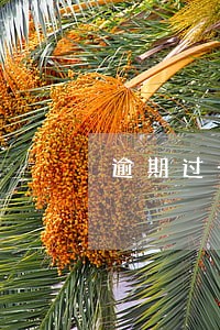 逾期过一次房贷能审批吗 逾期过一次房贷能审批吗